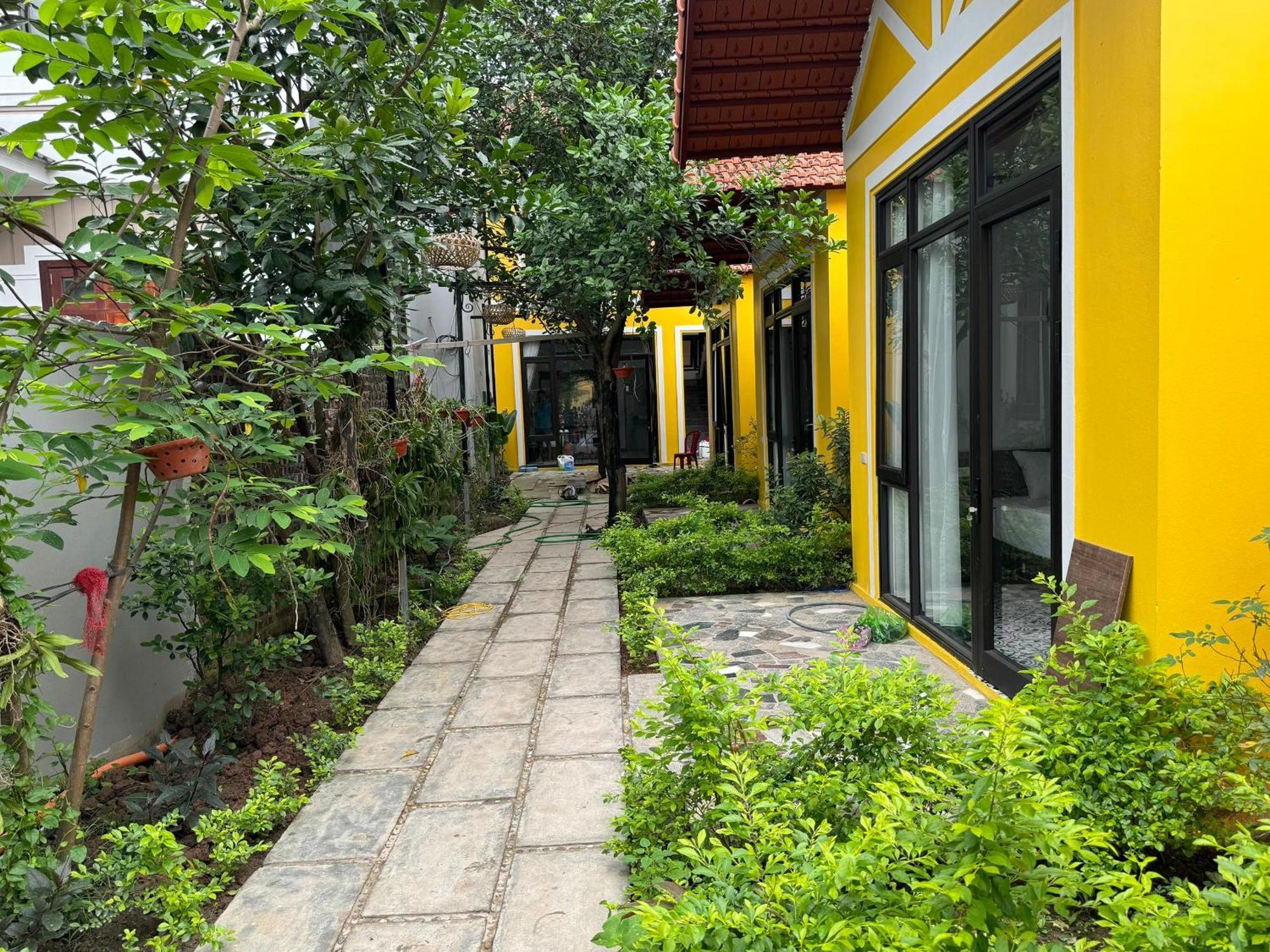 Azalea Tam Coc Ninh Binh ξενώνας Εξωτερικό φωτογραφία